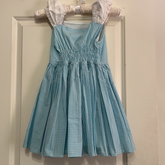 Dorothy from The Wizard of Oz - Full Costume Set - Toto and Ruby Slippers - Picture 14 of 14